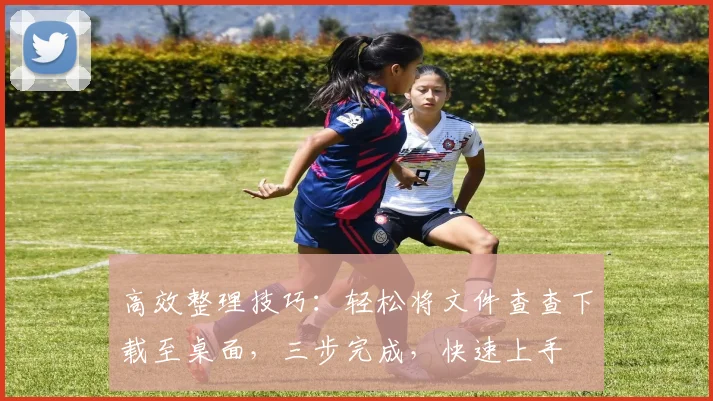 高效整理技巧：轻松将文件查查下载至桌面，三步完成，快速上手