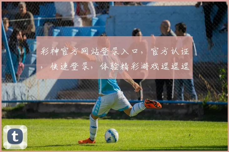 彩神官方网站登录入口，官方认证，快速登录，体验精彩游戏逗逗逗
